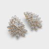 Regal Princess Diamond Earrings