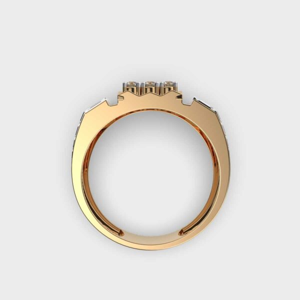 Two Tone Charming Men's Ring